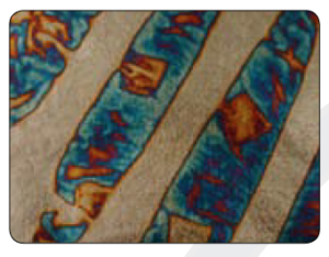 Variegated Leaf Booklet 205 of 25 Sheets For Interior Gilding & DIY Artistic Projects